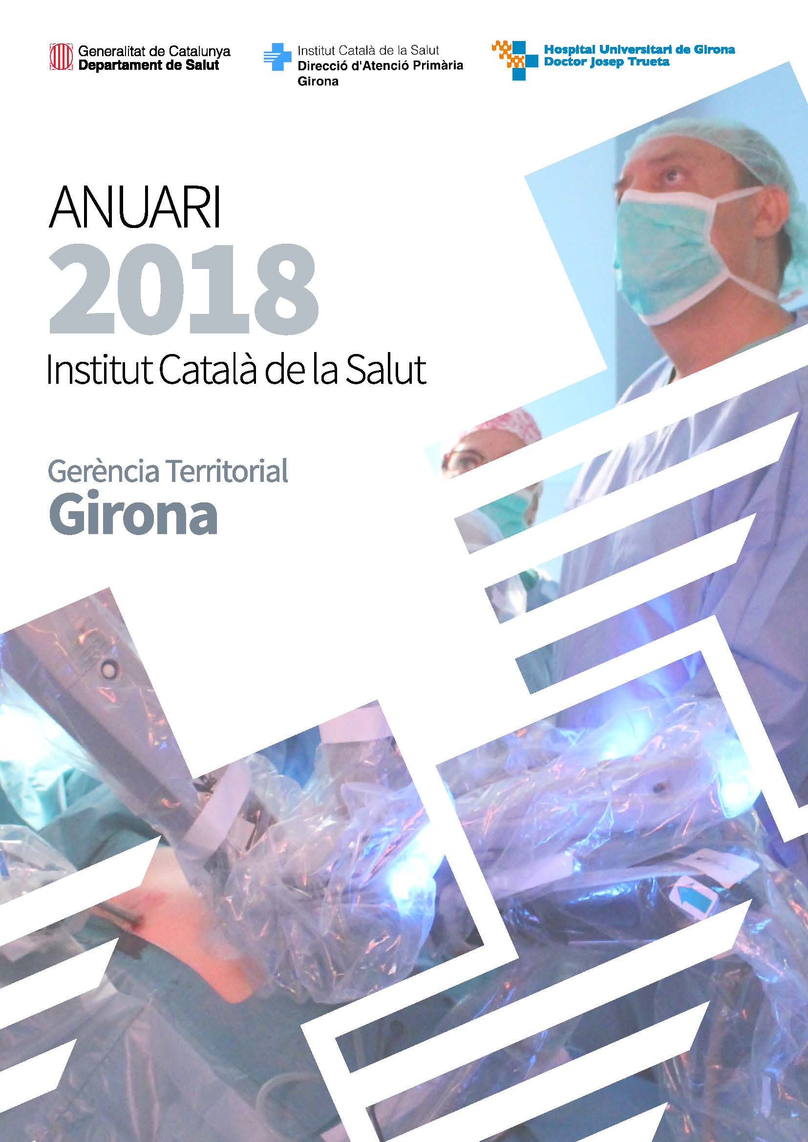 Anuari ICS 2018