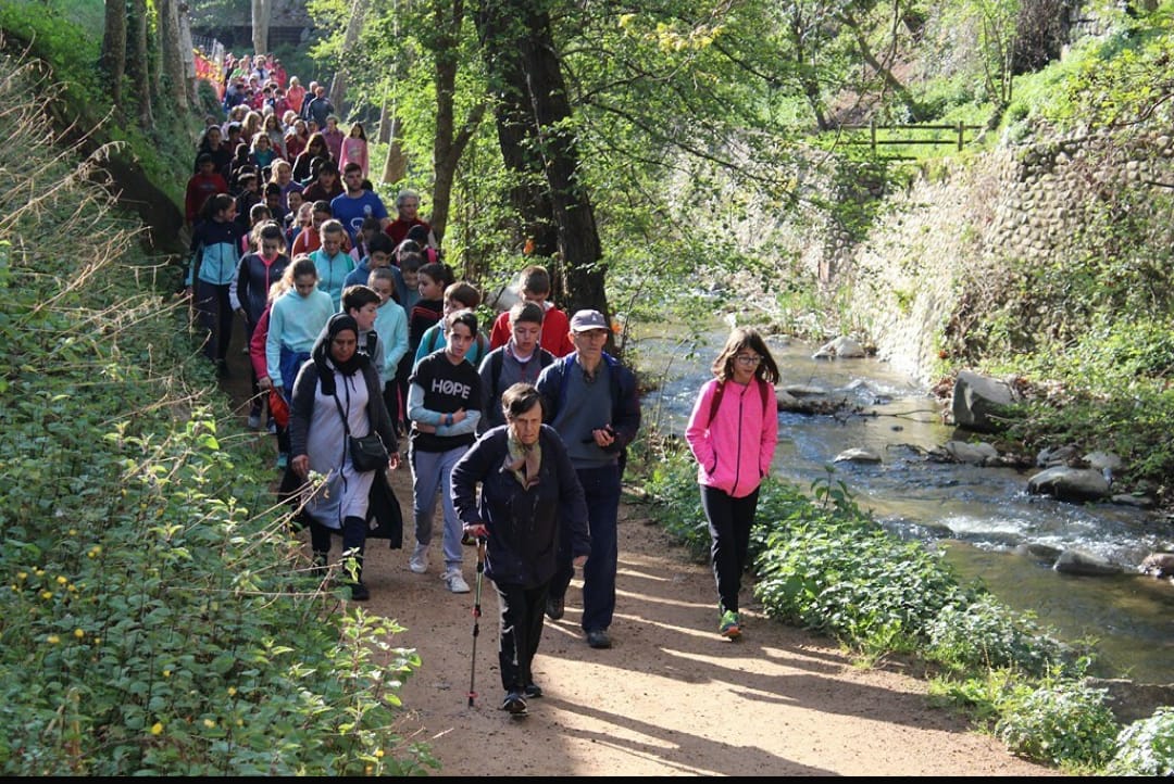 Caminada durant el Dia Mundial de l'Activitat Física