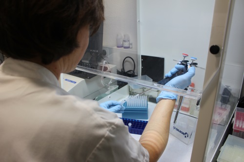 Professional del Servei d’Anatomia Patològica, analitzant proves