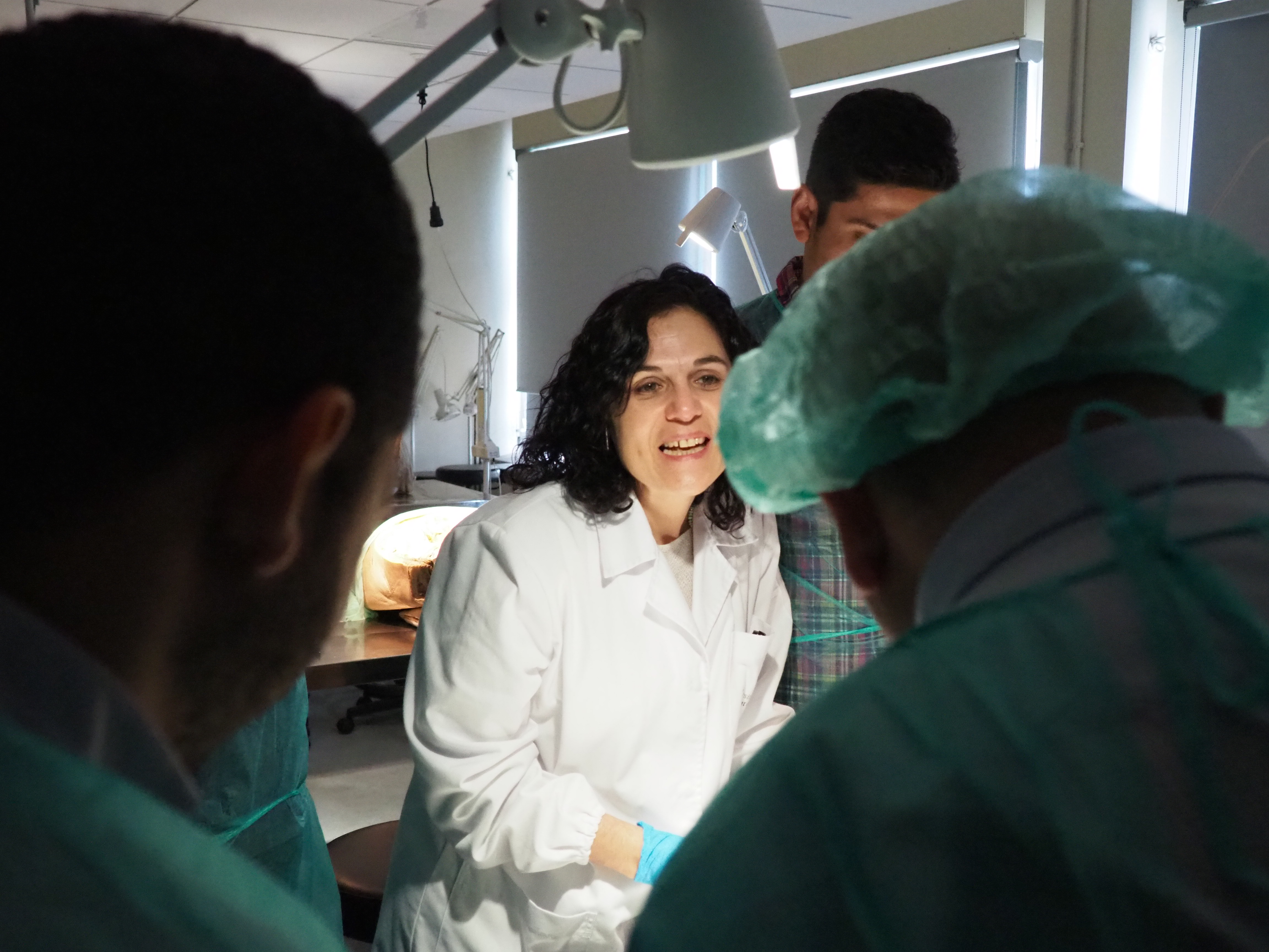 Professionals del Servei de Nefrologia durant un curs teòric i pràctic d’ecografia Doppler renal.