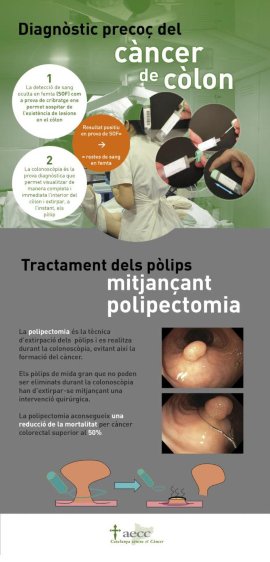 Diapositiva del Programa de Cribratge de Càncer de Còlon i Recte