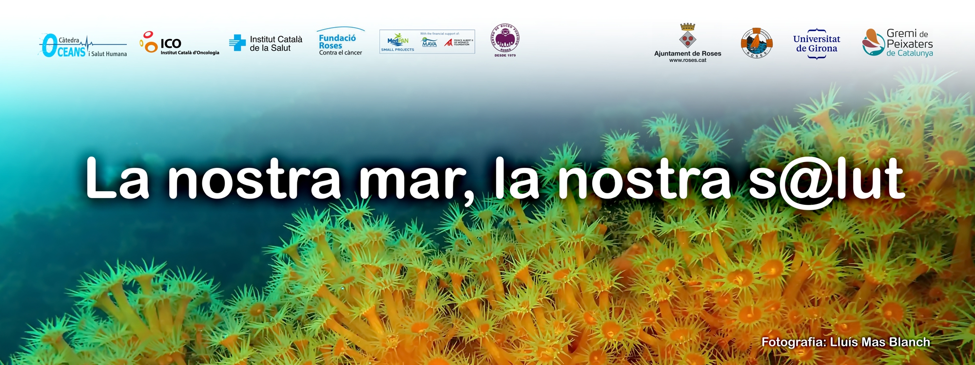 cartell de la prova