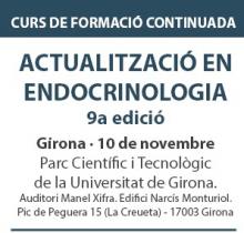 Cartell de la 9ª edició del curs de formació continuada en Endocrinologia
