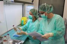 Professionals del Servei de Farmacia en les noves sales blanques